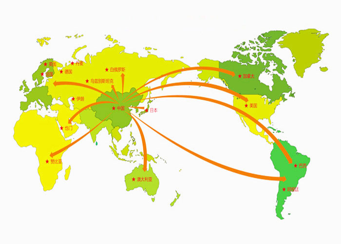 龙8国外市场地图.jpg